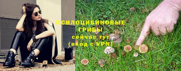 дмт Армянск