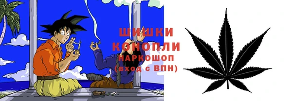 тгк Арсеньев