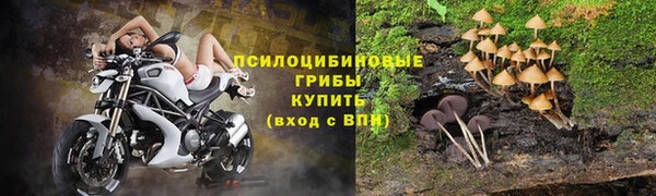 a pvp Аркадак