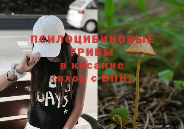 a pvp Аркадак