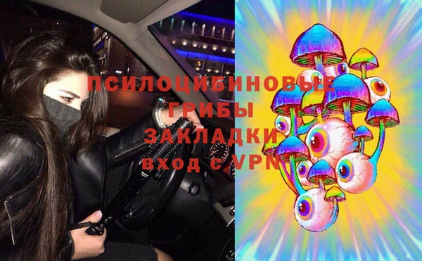 тгк Арсеньев